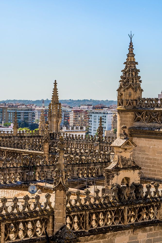 Roof of the Catedral de Sevilla (Seville Cathedral), UNESCO Site, Seville, Andalusia, Spain.